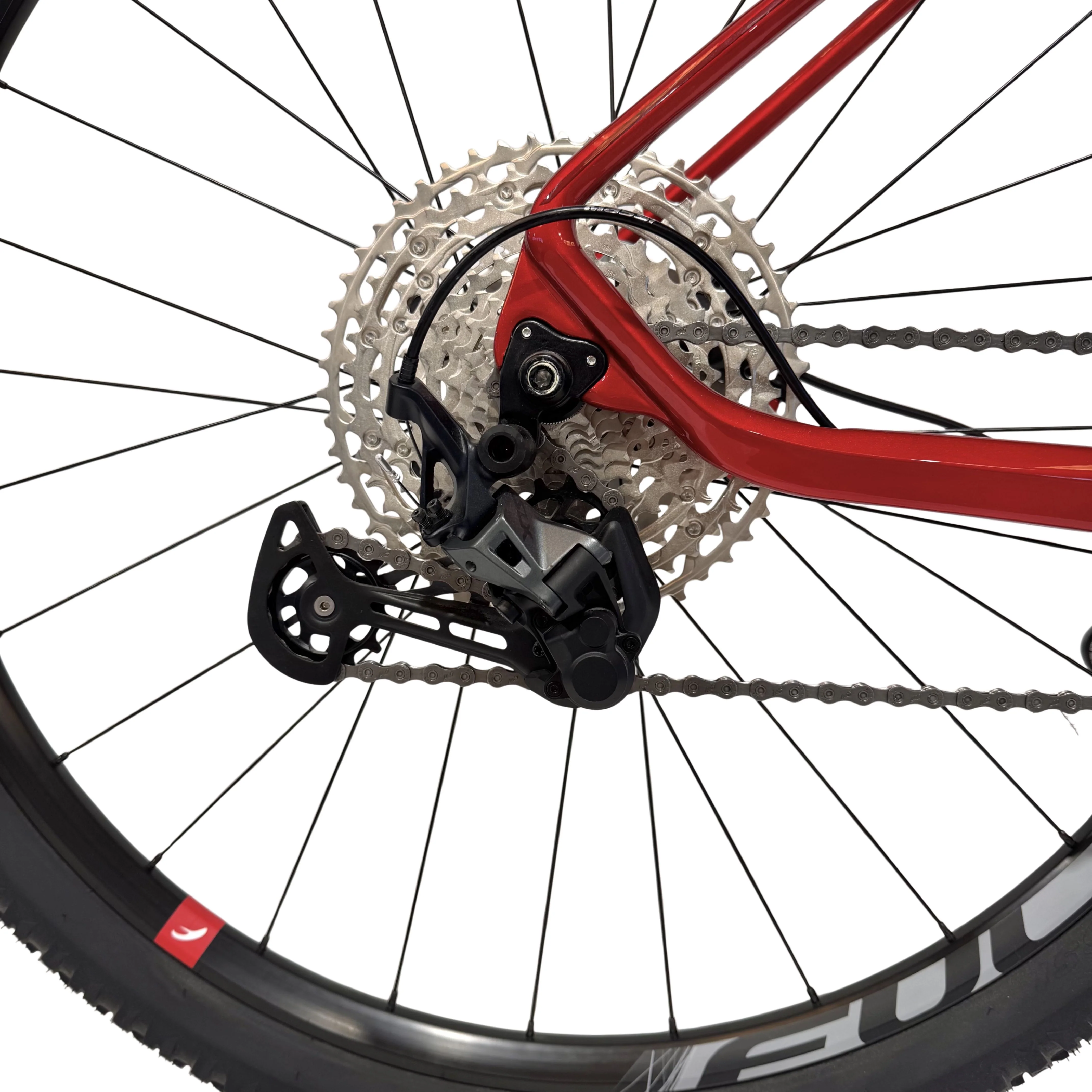 Bicicleta Massi 29 Team SLX Fulcrum - Image 6